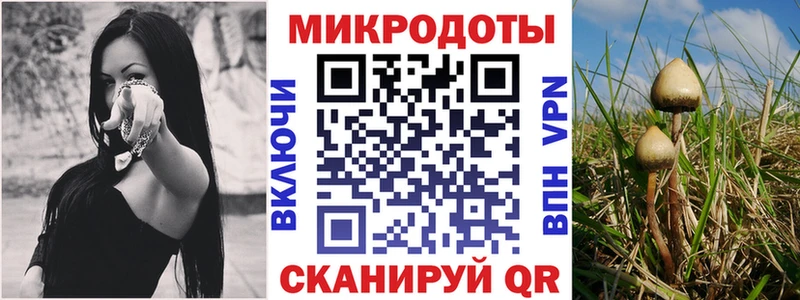 купить  сайты  Симферополь  Псилоцибиновые грибы GOLDEN TEACHER 
